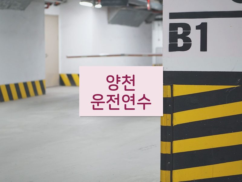 양천운전연수 후기