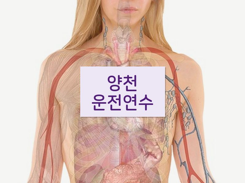 양천운전연수 후기