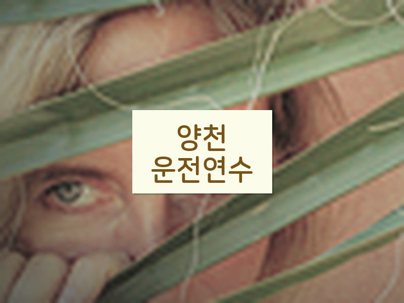 양천운전연수 후기