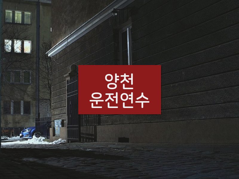 양천운전연수 후기