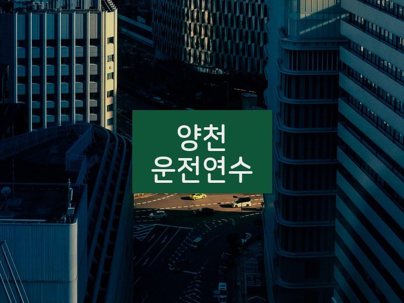 양천운전연수 후기
