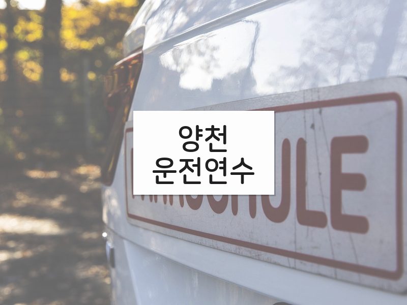 양천운전연수 후기