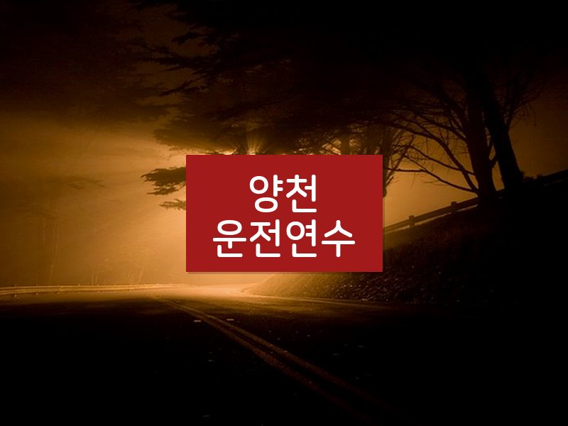 양천운전연수 후기