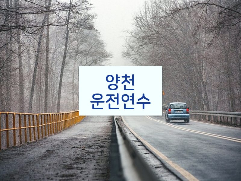 양천운전연수 후기
