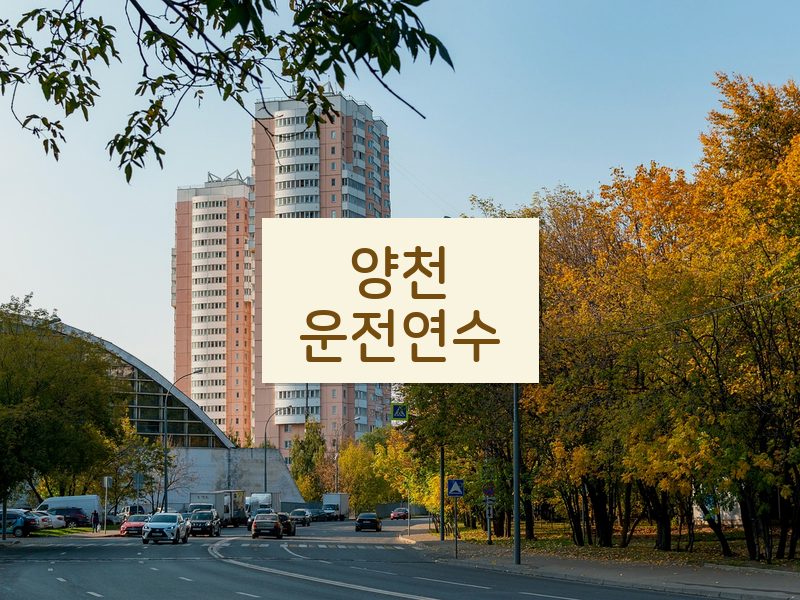 양천운전연수 후기