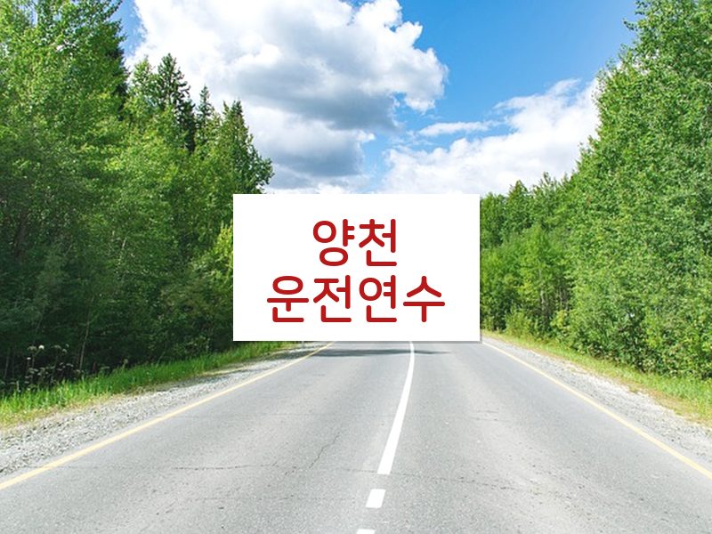 양천운전연수 후기