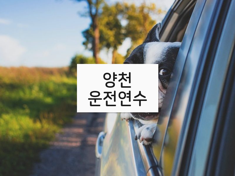 양천운전연수 후기