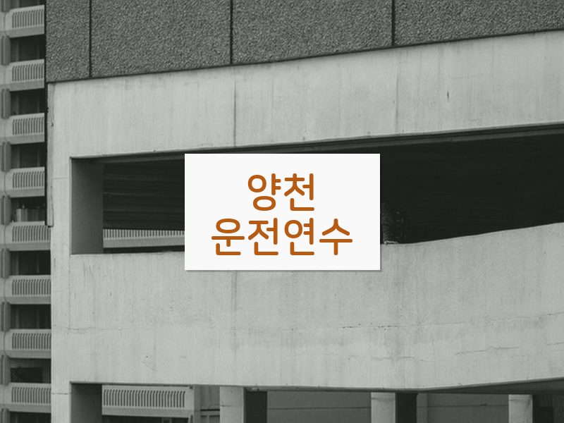 양천운전연수 후기