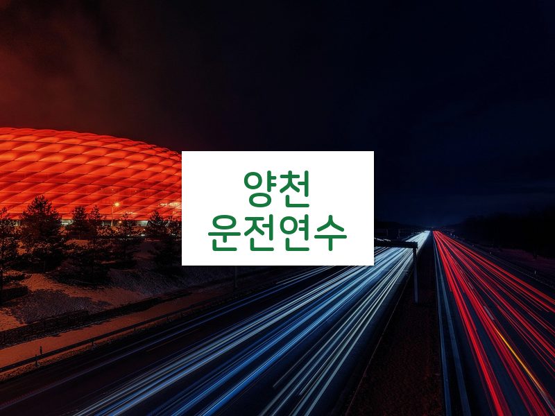 양천운전연수 후기