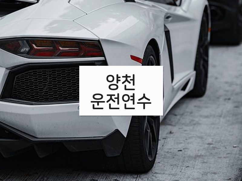 양천운전연수 후기