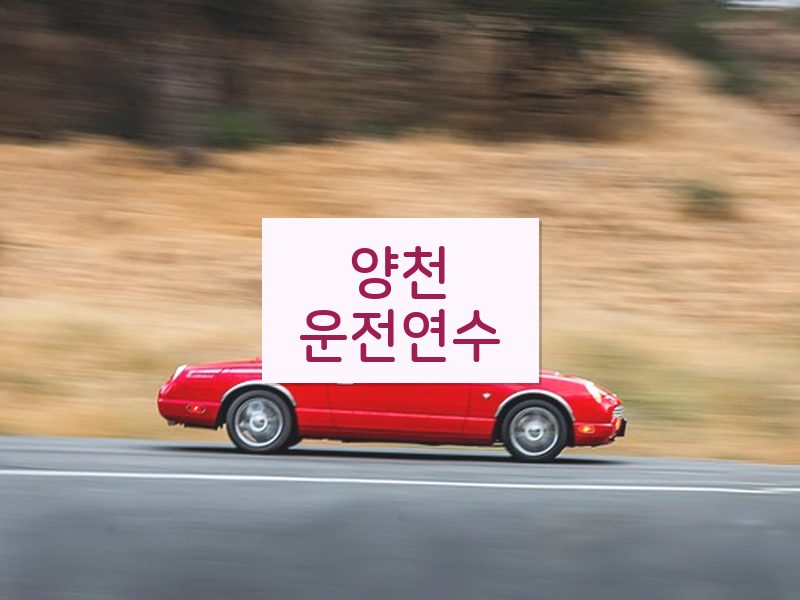 양천운전연수 후기