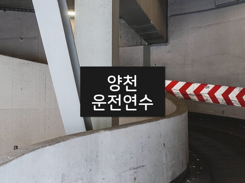 양천운전연수 후기