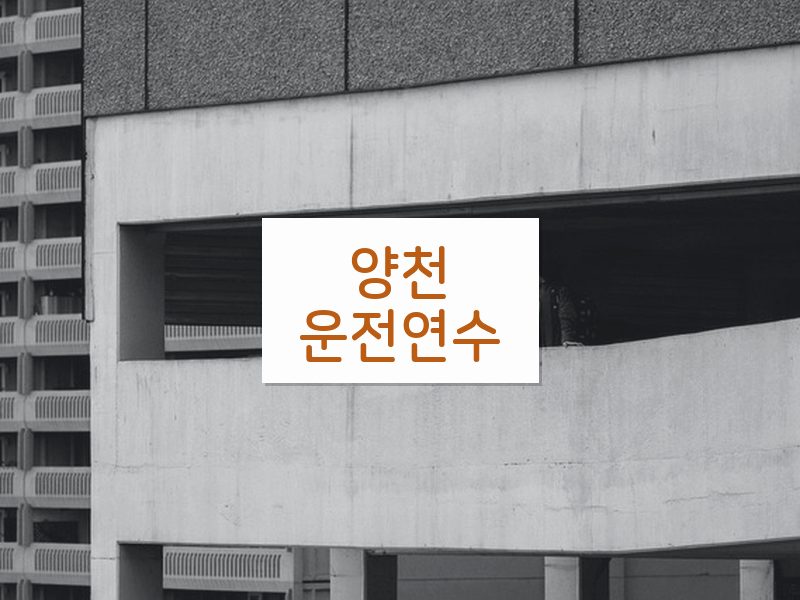 양천운전연수 후기