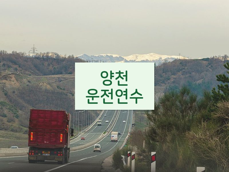 양천운전연수 후기