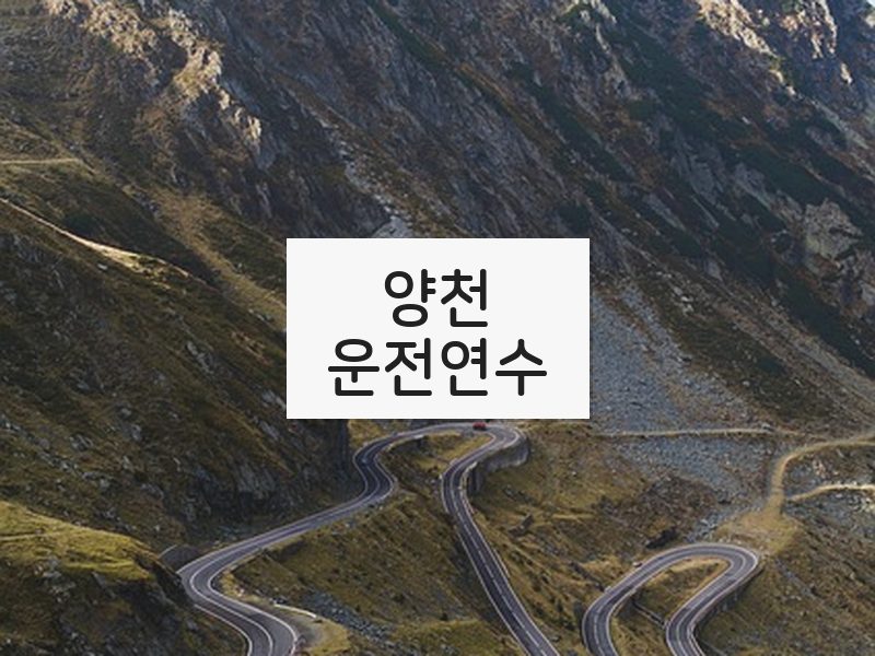양천운전연수 후기
