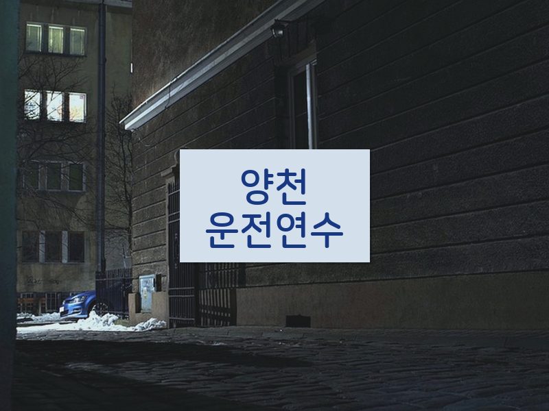 양천운전연수 후기