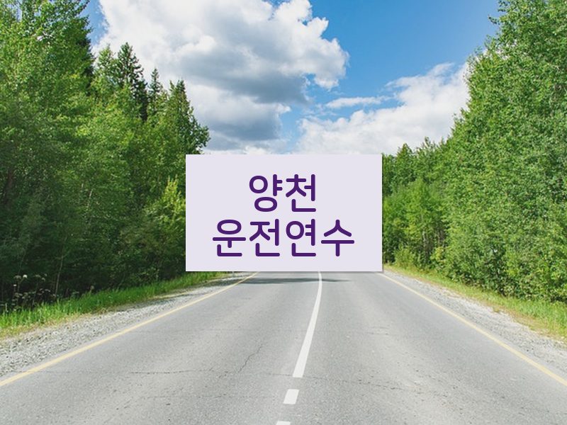양천운전연수 후기
