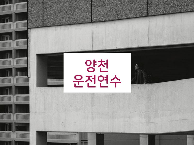 양천운전연수 후기
