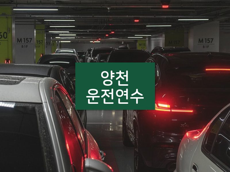 양천운전연수 후기