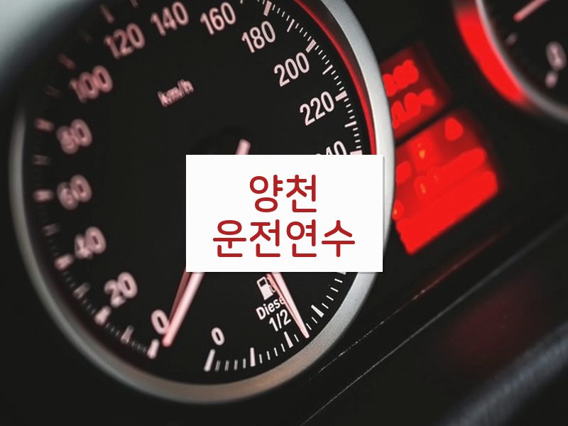 양천운전연수 후기