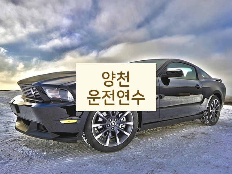 양천운전연수 후기