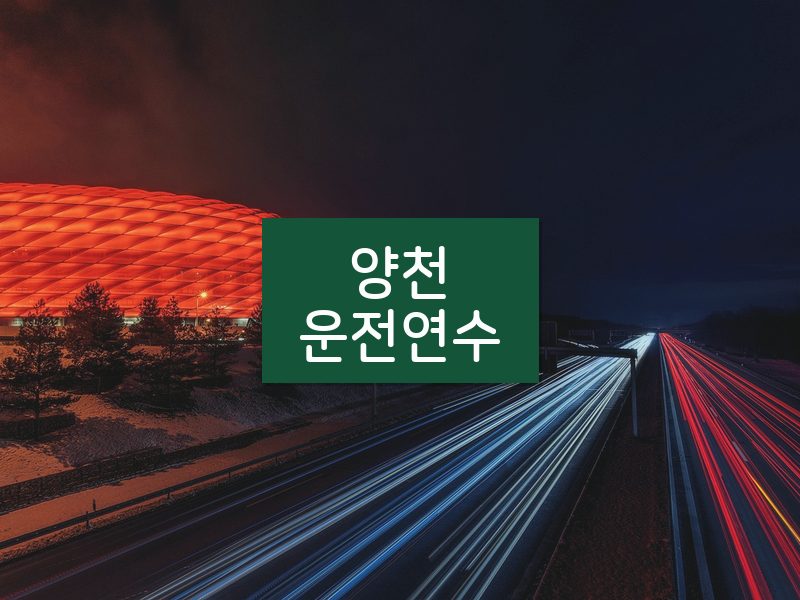 양천운전연수 후기