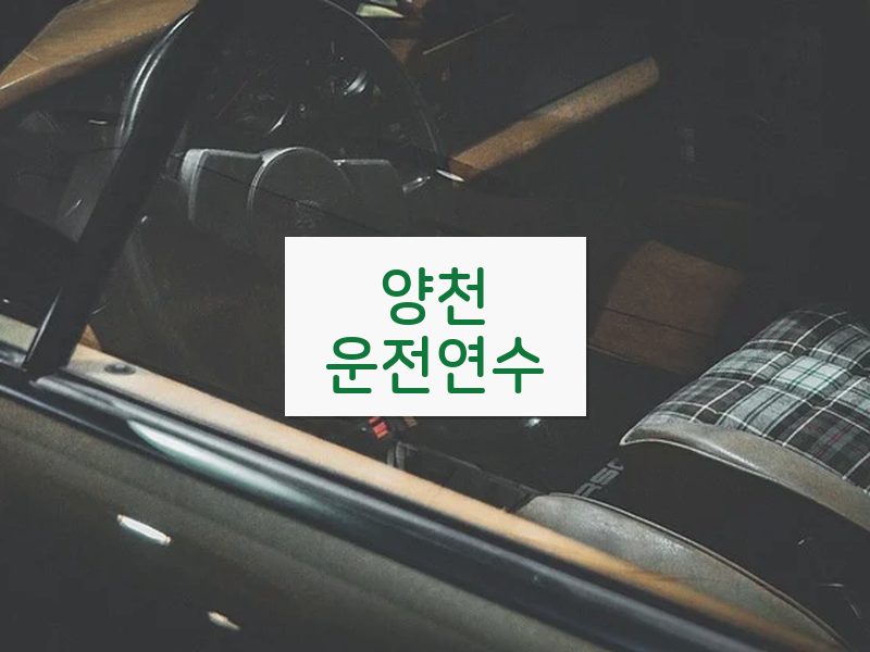 양천운전연수 후기