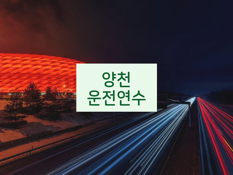 양천운전연수 후기