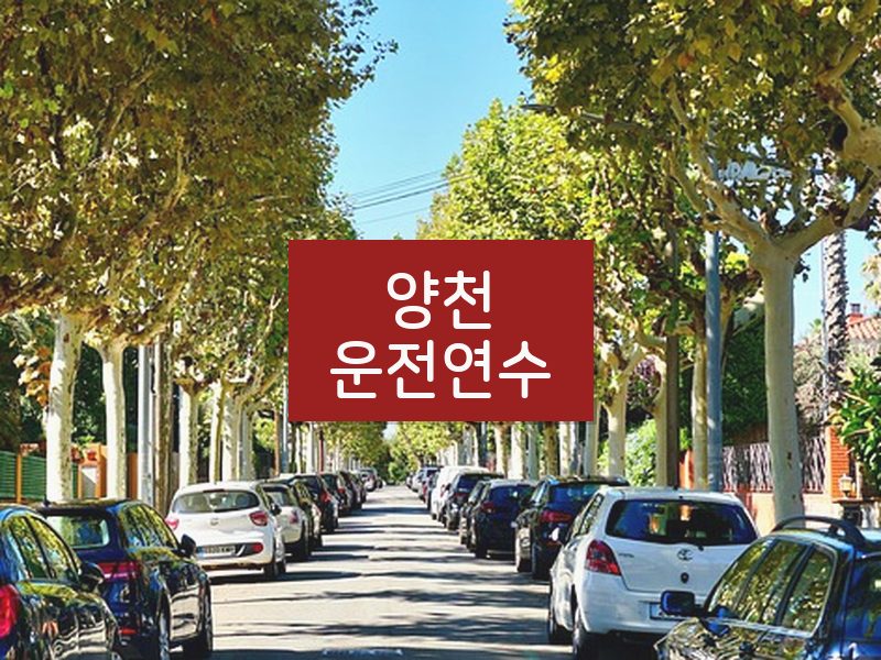 양천운전연수 후기