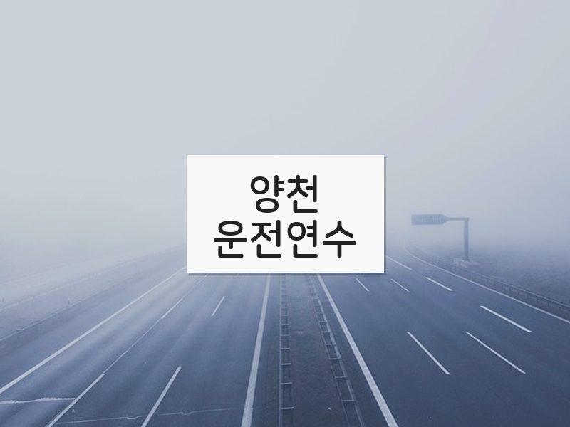 양천운전연수 후기