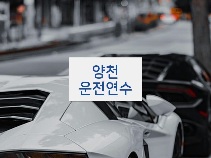 양천운전연수 후기