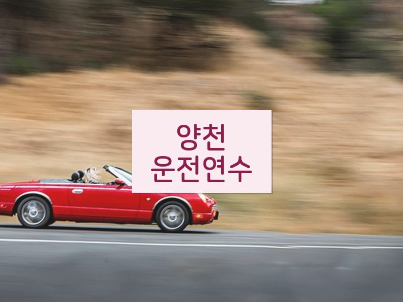 양천운전연수 후기