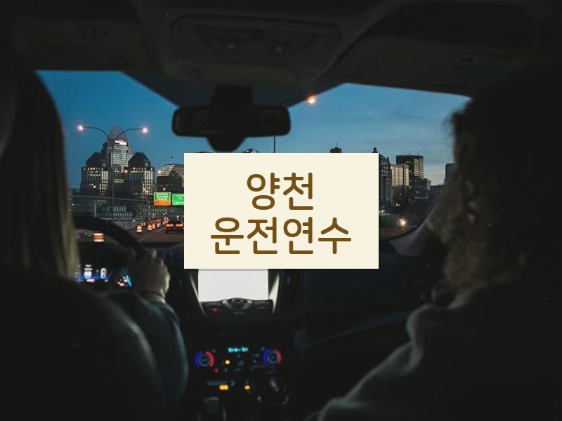 양천운전연수 후기