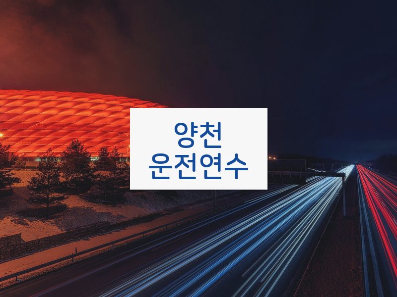 양천운전연수 후기