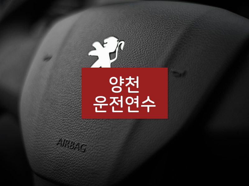 양천운전연수 후기
