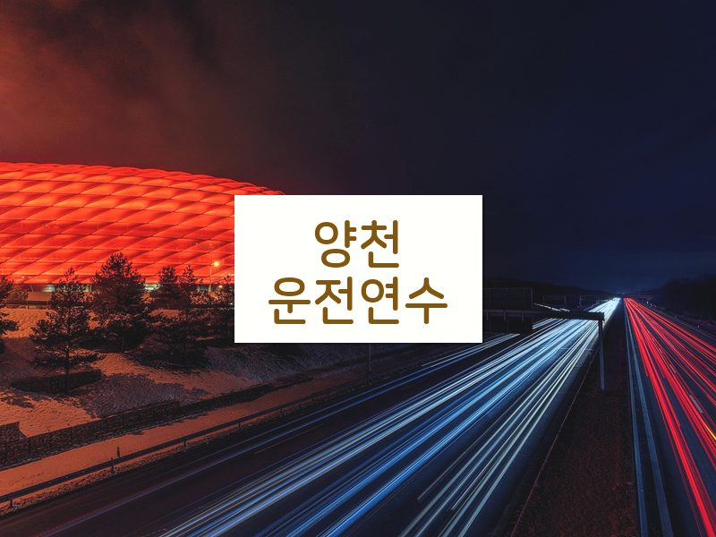 양천운전연수 후기