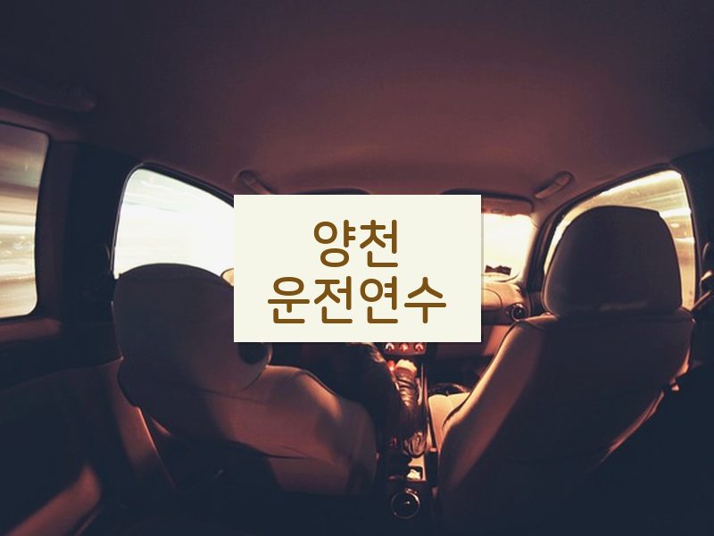 양천운전연수 후기