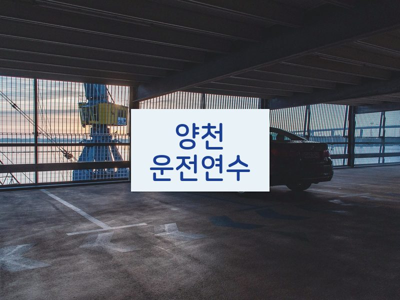 양천운전연수 후기