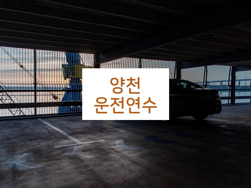 양천운전연수 후기