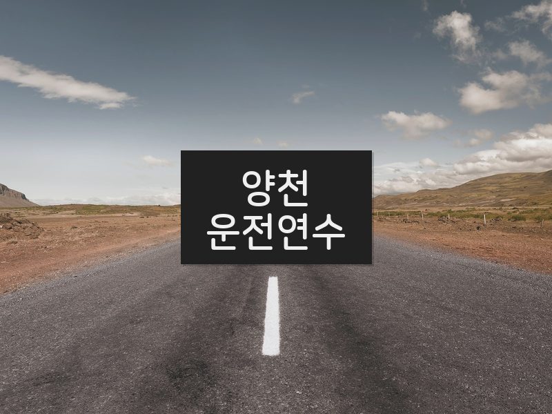 양천운전연수 후기