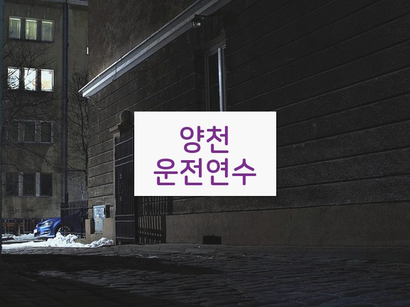 양천운전연수 후기