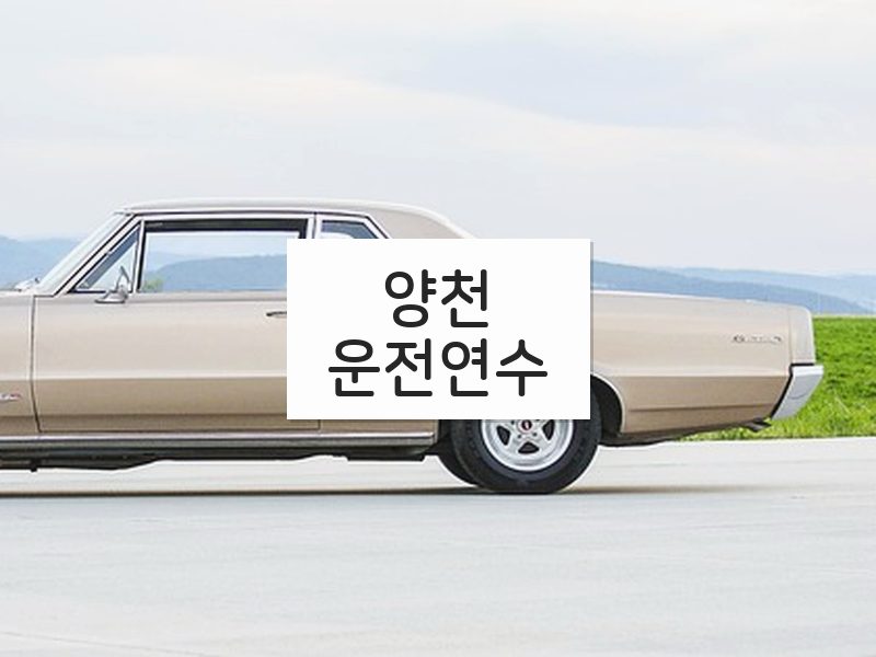 양천운전연수 후기