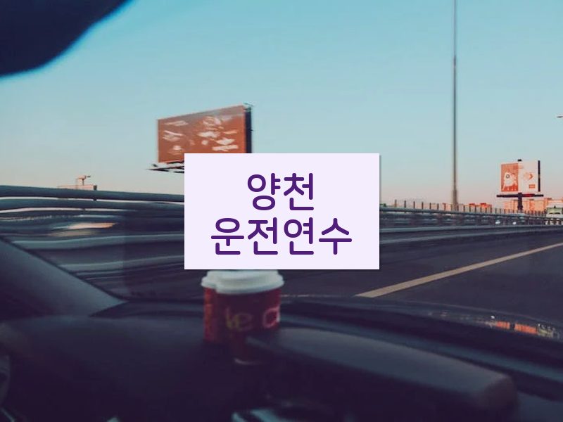 양천운전연수 후기