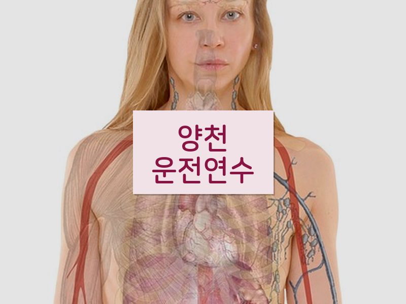 양천운전연수 후기