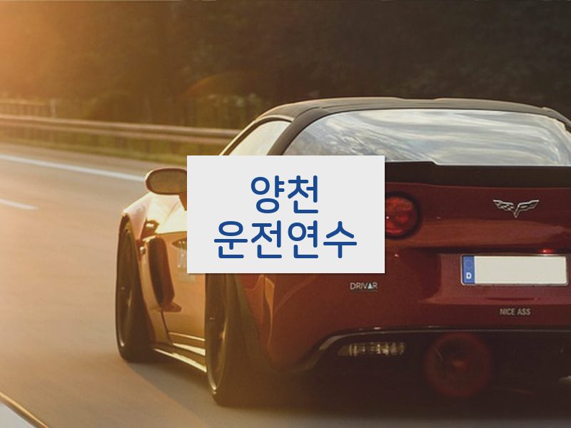 양천운전연수 후기