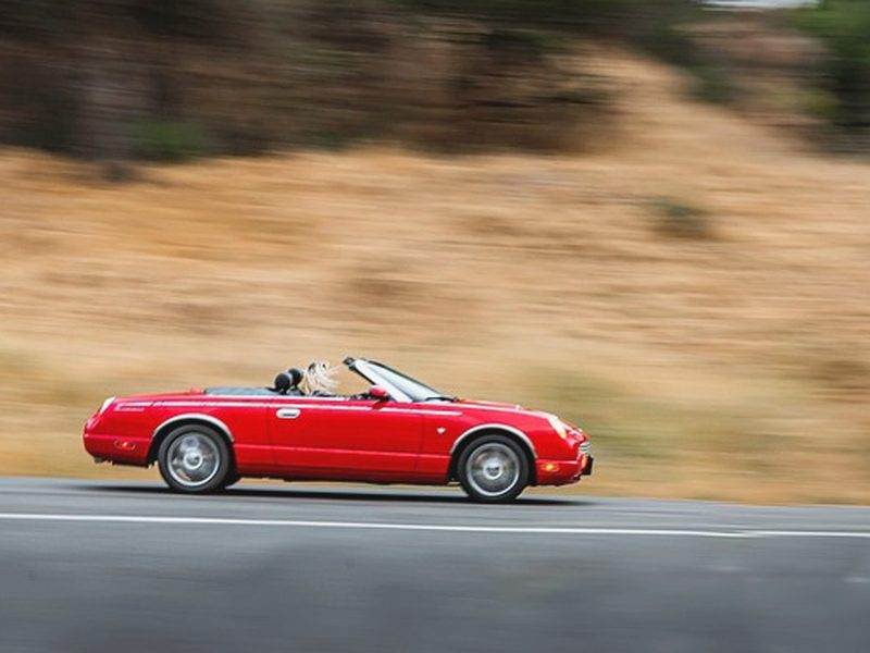운전연수 후기