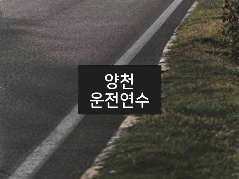 양천운전연수 후기