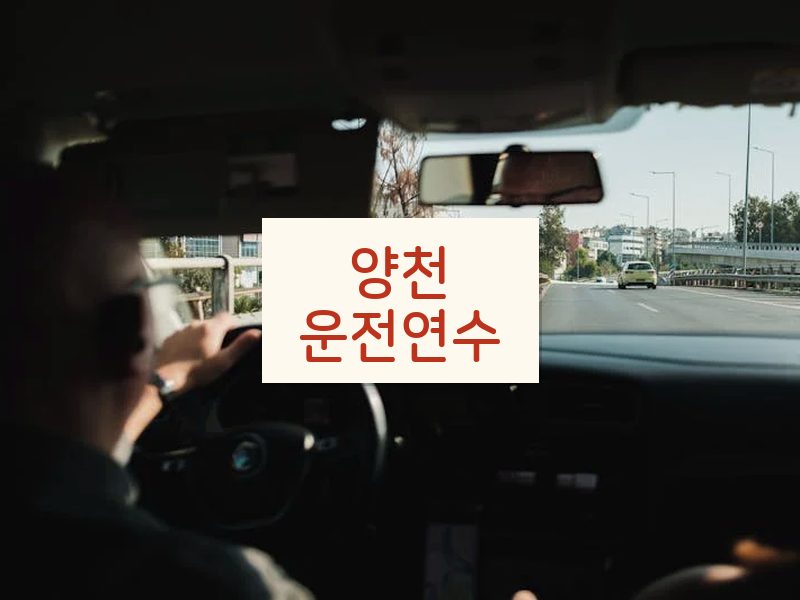 양천운전연수 후기