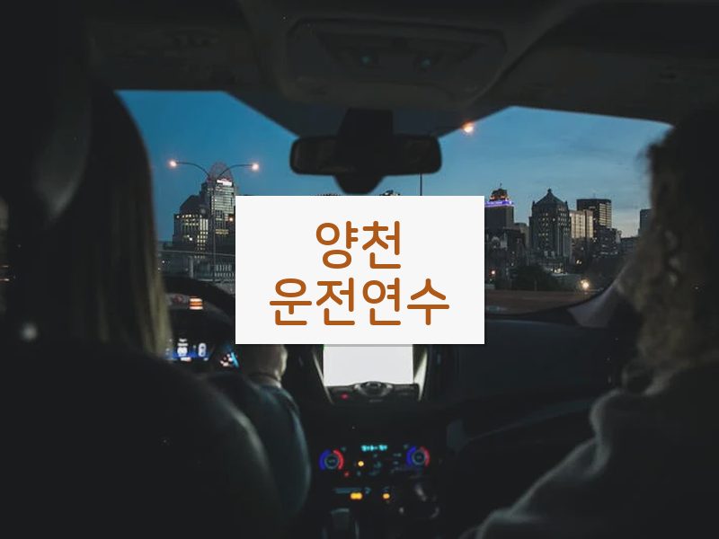 양천운전연수 후기