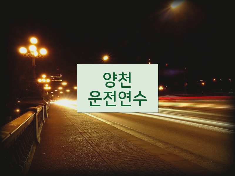 양천운전연수 후기